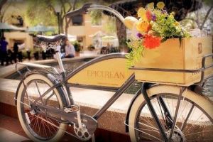 Epicurean Bike