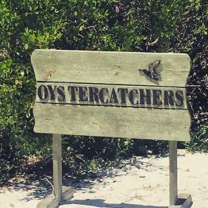 Oystercatchers Sign