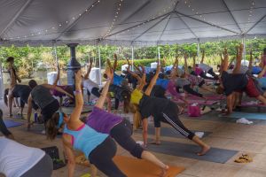 Class doing a yoga pose